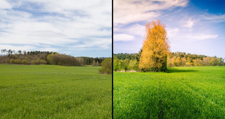 Før/efter redigering af landskabsbillede.